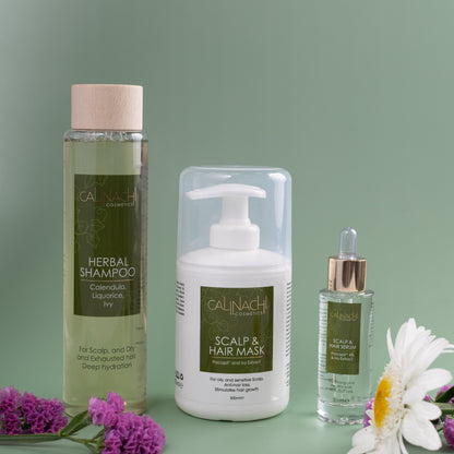 Shampoing aux herbes pour cheveux secs et abîmés, sans sulfate, 300 ml.